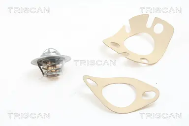 TERMOSTATO, REFRIGERANTE