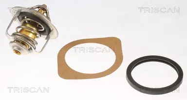 TERMOSTATO, REFRIGERANTE