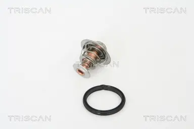 TERMOSTATO, REFRIGERANTE