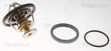 TERMOSTATO, REFRIGERANTE