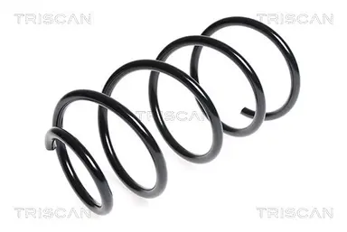 MUELLE DE SUSPENSIÓN