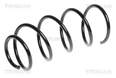 MUELLE DE SUSPENSIÓN