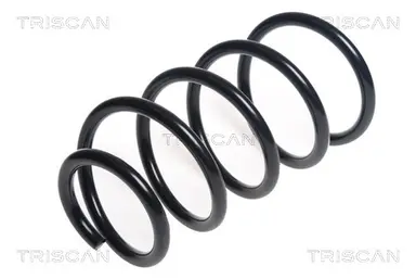 MUELLE DE SUSPENSIÓN