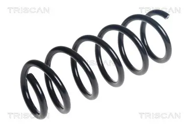 MUELLE DE SUSPENSIÓN