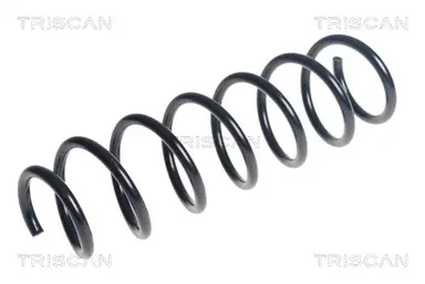 MUELLE DE SUSPENSIÓN