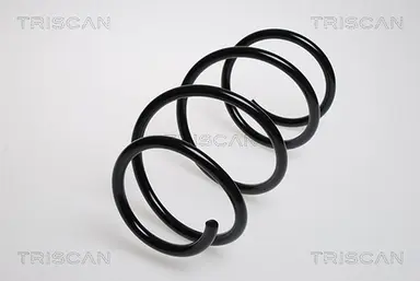 MUELLE DE SUSPENSIÓN