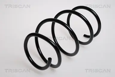 MUELLE DE SUSPENSIÓN