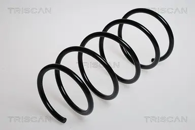 MUELLE DE SUSPENSIÓN