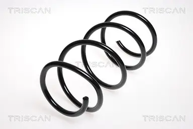 MUELLE DE SUSPENSIÓN