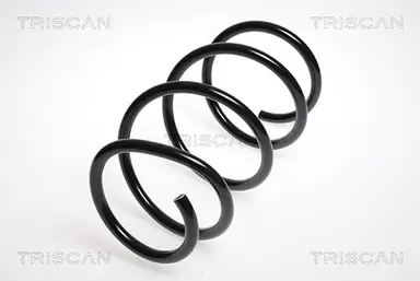 MUELLE DE SUSPENSIÓN