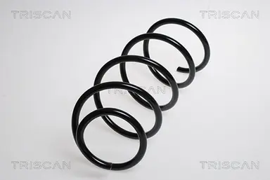 MUELLE DE SUSPENSIÓN