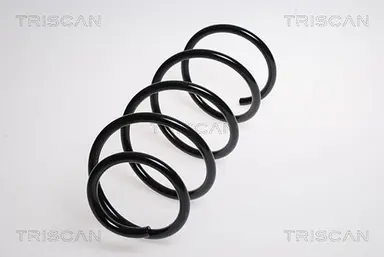 MUELLE DE SUSPENSIÓN