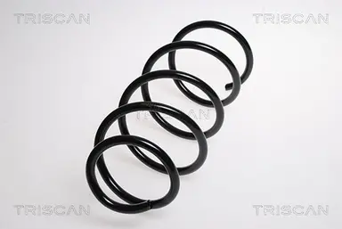 MUELLE DE SUSPENSIÓN