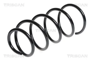 MUELLE DE SUSPENSIÓN