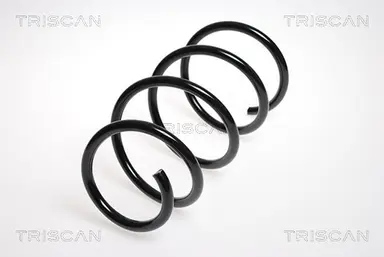 MUELLE DE SUSPENSIÓN