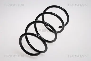 MUELLE DE SUSPENSIÓN