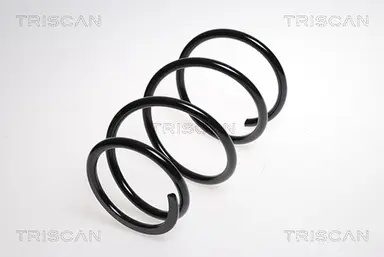 MUELLE DE SUSPENSIÓN