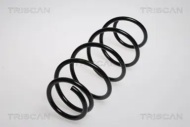 MUELLE DE SUSPENSIÓN