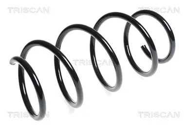 MUELLE DE SUSPENSIÓN