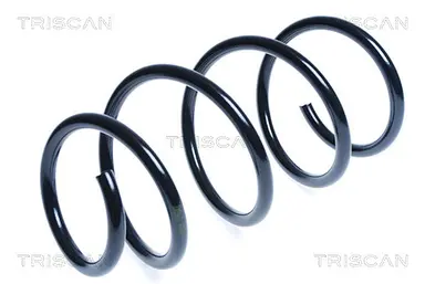 MUELLE DE SUSPENSIÓN