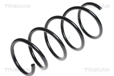 MUELLE DE SUSPENSIÓN