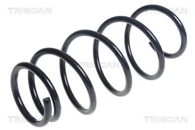 MUELLE DE SUSPENSIÓN