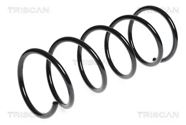 MUELLE DE SUSPENSIÓN