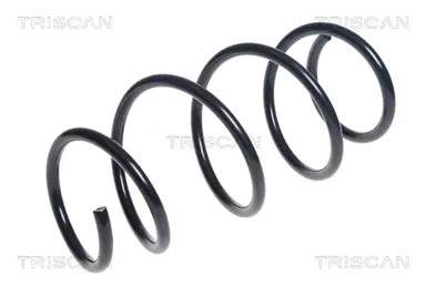 MUELLE DE SUSPENSIÓN