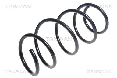 MUELLE DE SUSPENSIÓN