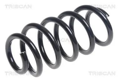 MUELLE DE SUSPENSIÓN