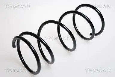 MUELLE DE SUSPENSIÓN