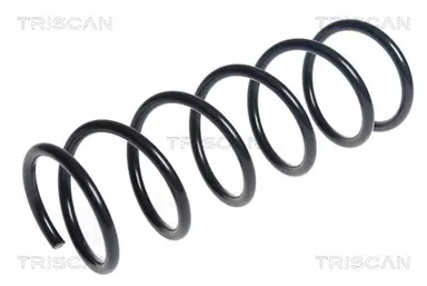 MUELLE DE SUSPENSIÓN