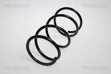 MUELLE DE SUSPENSIÓN