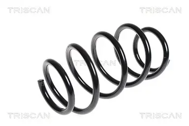 MUELLE DE SUSPENSIÓN