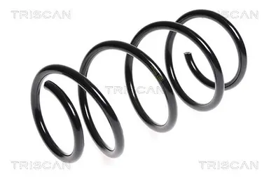 MUELLE DE SUSPENSIÓN