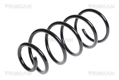 MUELLE DE SUSPENSIÓN