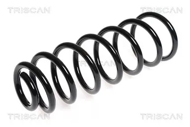 MUELLE DE SUSPENSIÓN