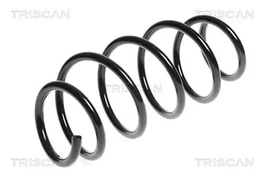 MUELLE DE SUSPENSIÓN