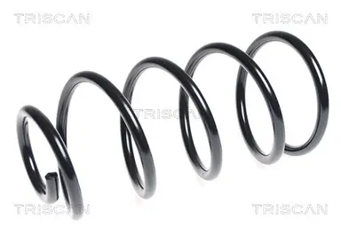 MUELLE DE SUSPENSIÓN