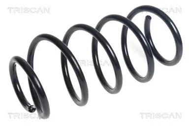 MUELLE DE SUSPENSIÓN