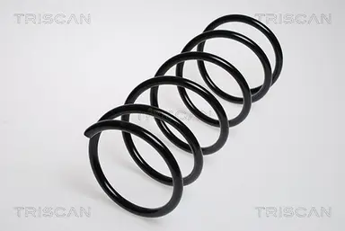 MUELLE DE SUSPENSIÓN