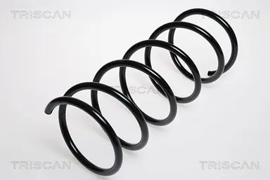 MUELLE DE SUSPENSIÓN