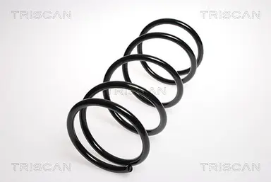 MUELLE DE SUSPENSIÓN