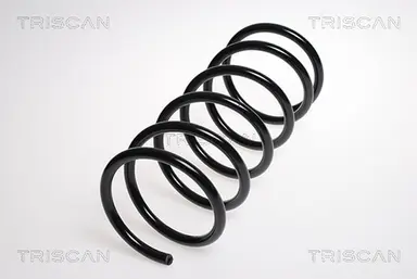 MUELLE DE SUSPENSIÓN