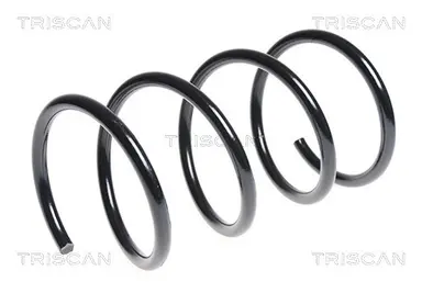 MUELLE DE SUSPENSIÓN