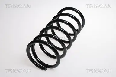 MUELLE DE SUSPENSIÓN