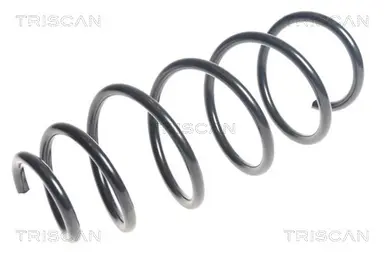 MUELLE DE SUSPENSIÓN