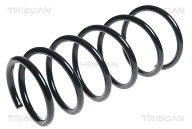 MUELLE DE SUSPENSIÓN