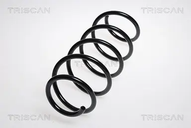 MUELLE DE SUSPENSIÓN