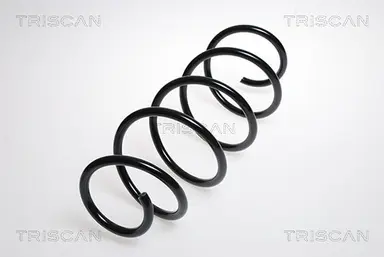 MUELLE DE SUSPENSIÓN